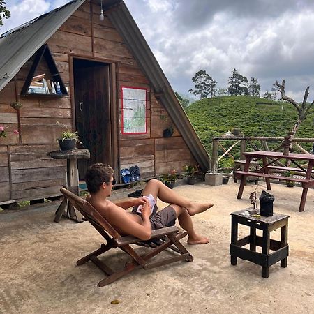 Backpackers Hostel Ела Екстериор снимка