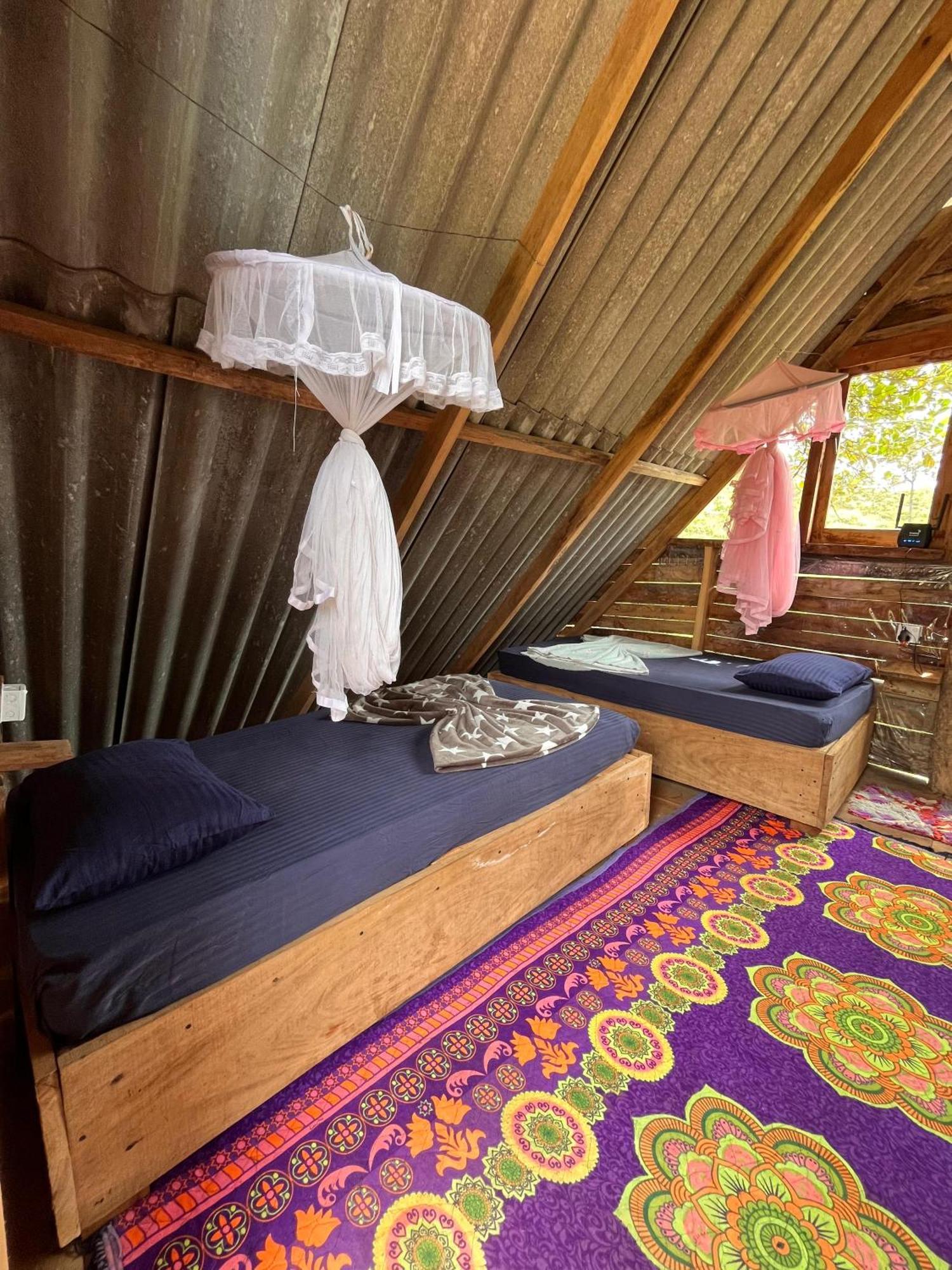Backpackers Hostel Ела Екстериор снимка
